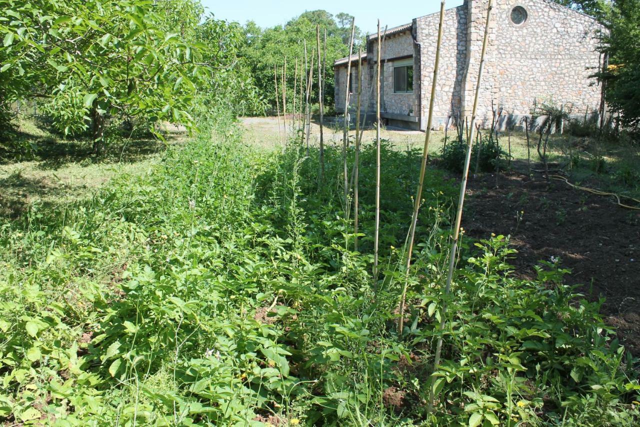 Pili Country House Dış mekan fotoğraf