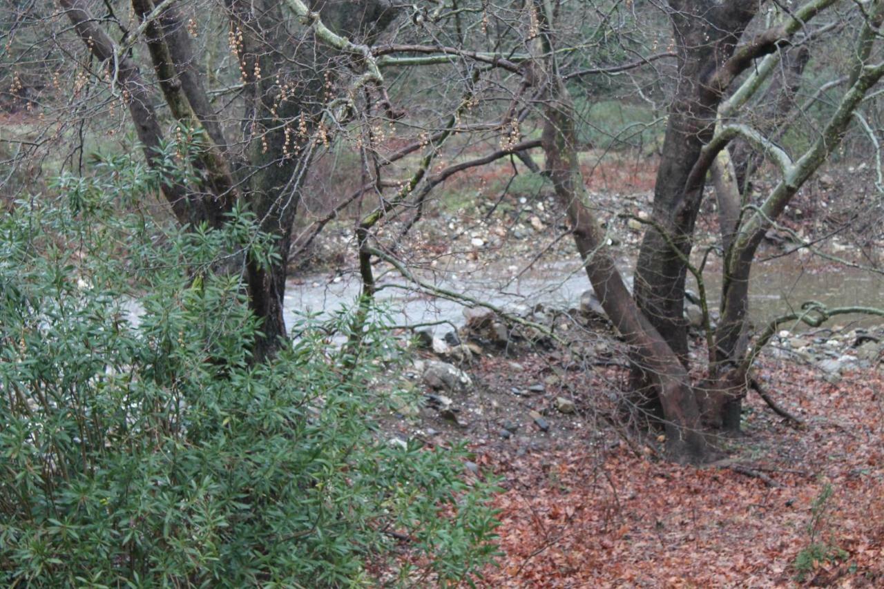 Pili Country House Dış mekan fotoğraf